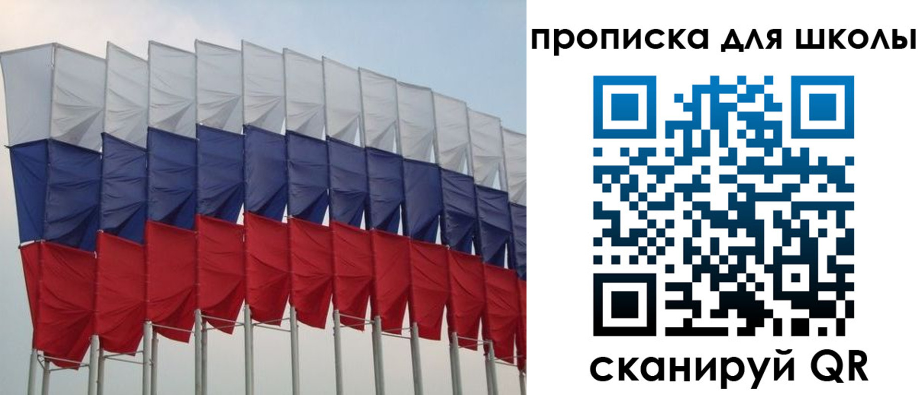 прописка для работы в Сольцах